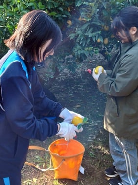 写真3