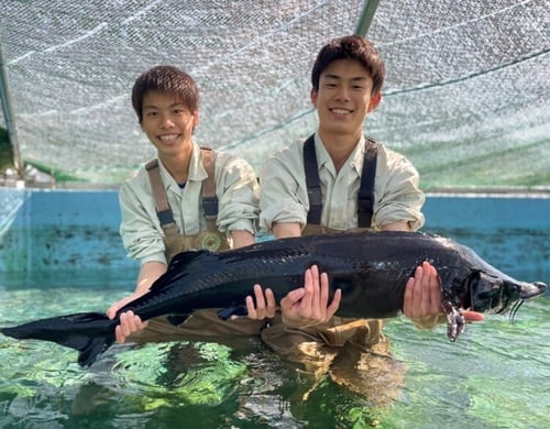画像2-1